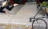 Fun Pic - Donnerstags Fun PicDump #162 - 64