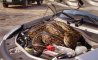 Fun Pic - Donnerstags Fun PicDump #162 - 68