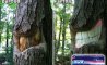 Fun Pic - Donnerstags Fun PicDump #162 - 85