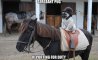 Fun Pic - Donnerstags Fun PicDump #164 - 122