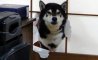 Fun Pic - Donnerstags Fun PicDump #164 - 150