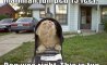 Fun Pic - Donnerstags Fun PicDump #166 - 115
