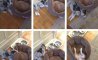 Fun Pic - Donnerstags Fun PicDump #167 - 86