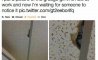 Fun Pic - Donnerstags Fun PicDump #168 - 117