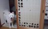 Fun Pic - Donnerstags Fun PicDump #168 - 33
