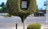 Fun Pic - Donnerstags Fun PicDump #168 - 57