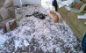 Fun Pic - Donnerstags Fun PicDump #168 - 77