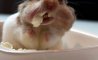 Fun Pic - Donnerstags Fun PicDump #171 - 33