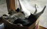 Fun Pic - Donnerstags Fun PicDump #174 - 145