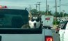 Fun Pic - Donnerstags Fun PicDump #174 - 6