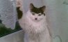 Fun Pic - Donnerstags Fun PicDump #177 - 15