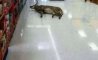 Fun Pic - Donnerstags Fun PicDump #177 - 27