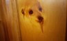 Fun Pic - Donnerstags Fun PicDump #178 - 115