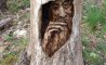 Fun Pic - Donnerstag Fun PicDump #194 - 153