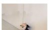 Fun Pic - Donnerstag Fun PicDump #197 - 76