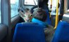 Fun Pic - Donnerstag Fun PicDump #204 - 104