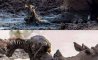 Fun Pic - Donnerstag Fun PicDump #221 - 74