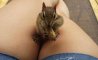 Fun Pic - Donnerstag Fun PicDump #271 - 85