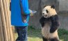 Fun Pic - Donnerstag Fun PicDump #275 - 45