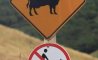 Fun Pic - Donnerstag Fun PicDump #298 - 97