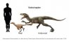 Fun Pic - Donnerstag Fun PicDump #352 - 73