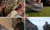 Fun Pic - Donnerstag Fun PicDump #357 - 22