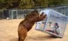 Fun Pic - Donnerstag Fun PicDump #361 - 26