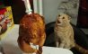 Fun Pic - Donnerstag Fun PicDump #370 - 44