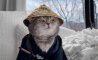 Fun Pic - Donnerstag Fun PicDump #370 - 60