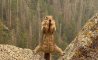 Fun Pic - Donnerstag Fun PicDump #403 - 129