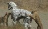 Fun Pic - Donnerstag Fun PicDump #462 - 144