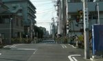 Segway Train