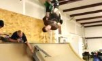 Backflip von Skateboard zu Skateboard