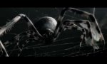 Movie : Spinne vs Motte