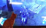 Funny Video : Katze vs Assassins Creed