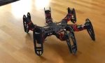 Spinnenroboter