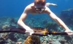 Funny Video : Unterwasser-Chillen mit Flügeln