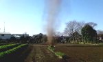 Gemüsebeet-Tornado