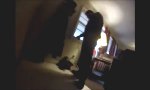 Lustiges Video : Schoßhund allein zu Haus