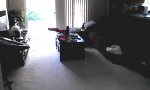 Funny Video : Amazon Echo Test