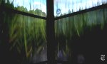 Movie : Fahrstuhlfahrt im One World Trade Center