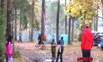 Lustiges Video : Baum fällt!
