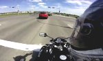 Funny Video : Da war doch was im Rückspiegel