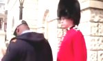 Queen´s Guard hat die Schnauze voll