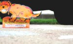 Bad Dog