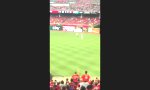 Funny Video - Selfie-Flitzer beim Baseball