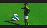 Lustiges Video : Flieg kleine Schwalbe, flieg!