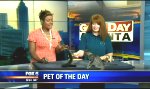 Funny Video : Pet of the Day