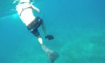 Movie : Delfin zeigt, was er kann