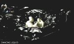Funny Video -   10 erstaunliche Tricks mit Flüssigkeiten  